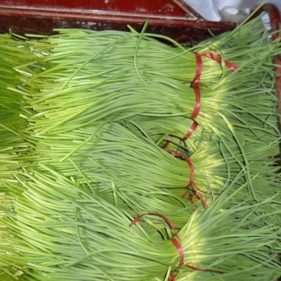 出售金乡大蒜 、蒜苔 、质量好大蒜、出口大蒜新鲜优质有机蒜图2