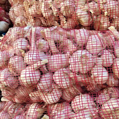 大蒜基地源头工厂大量供应出口越南、孟加拉、巴基斯坦大蒜......图5