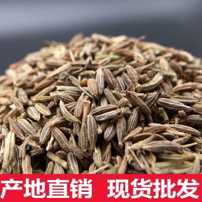 香辣之川批发香料 孜然粒 新疆烧烤 羊肉串必调味品调料 香辣之川批发香料 孜然粒 新疆烧烤 羊肉串必调味品调料