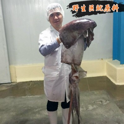 厂家直销碳烤风琴鱿鱼片手撕鱿鱼丝散装批发休闲零食一件代发网红图4