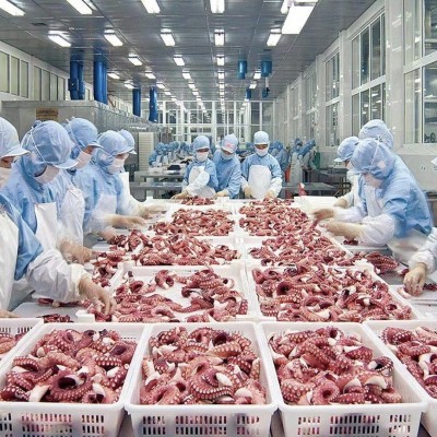 八爪足切粒 八爪鱼小丸子八爪鱼原料切粒 章鱼粒八爪粒 12kg/件图5