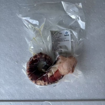 八爪足 鱿鱼腿图5