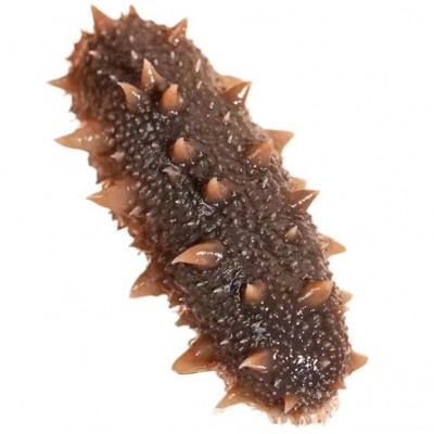 泡发海参 纯水泡发开袋酒店供应【爱心鱼满舱一件代发直播】图4