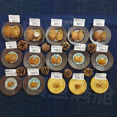 东山鲍鱼干淡晒干鲍鱼佛跳墙原料【鱼满舱一件代发直播】现货优质图3