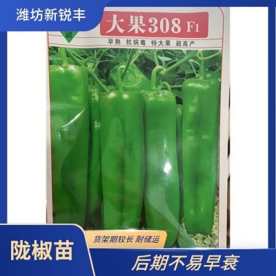 新锐丰 朝天椒 朝天椒苗 牛角椒育苗基地 肥水充足后期果基本不变短图5