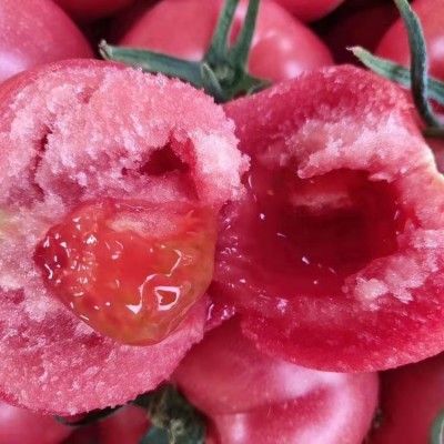 大红番茄苗早熟品种 大粉番茄 抗病毒西红柿苗 佳鸿种业 现货速发图4