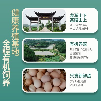 有机认证土鸡蛋养殖场批发鸡蛋 新鲜山地生态土鸡蛋供应销售图3