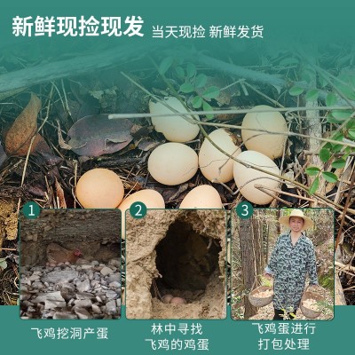 有机认证土鸡蛋养殖场批发鸡蛋 新鲜山地生态土鸡蛋供应销售图2