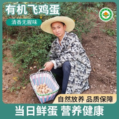 有机认证土鸡蛋养殖场批发鸡蛋 新鲜山地生态土鸡蛋供应销售图4