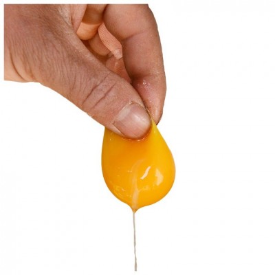 有机认证土鸡蛋养殖场批发鸡蛋 新鲜山地生态土鸡蛋供应销售图5