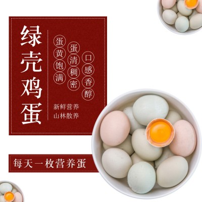 我老家绿壳土鸡蛋50枚鸡场直销散养绿壳土鸡蛋一件代发顺丰发货图2