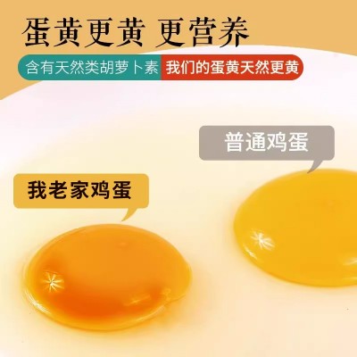 叶黄素可生食鸡蛋30枚 礼盒装新鲜无菌蛋 顺丰京东快递发货 叶黄素可生食鸡蛋30枚 礼盒装新鲜无菌蛋 顺丰京东快递发货