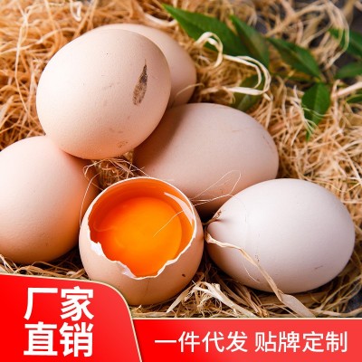 我老家土鸡蛋40枚 品质款土鸡蛋散养厂家直销农家土鸡蛋批发 我老家土鸡蛋40枚 品质款土鸡蛋散养厂家直销农家土鸡蛋批发