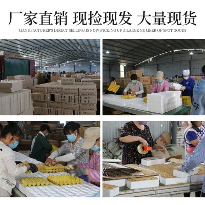 我老家土鸡蛋40枚 品质款土鸡蛋散养厂家直销农家土鸡蛋批发图3