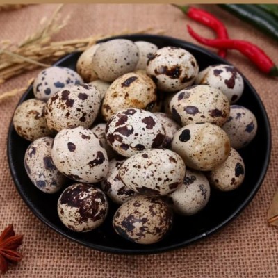 农家散养生鹌鹑蛋新鲜现捡现发农家杂粮喂养生的鹌鹑鸟蛋营养图2