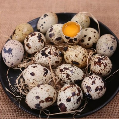 农家散养生鹌鹑蛋新鲜现捡现发农家杂粮喂养生的鹌鹑鸟蛋营养图4