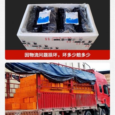 臭豆腐经典黑色白色商用摆摊半成品批发图2