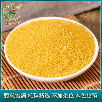 内蒙古黄小米5斤 双层真空装新米月子米脂黄小米单位福利 小米图2