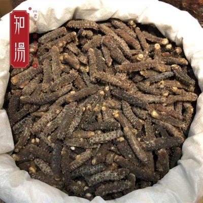 黑刺参 批发马来西亚黑刺王刺皇参黄肉参黄玉参产地直销图4