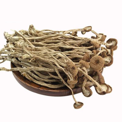 不开伞茶树菇干货无硫新货500g小包装散装 农家自产煲汤炖罐材料图5