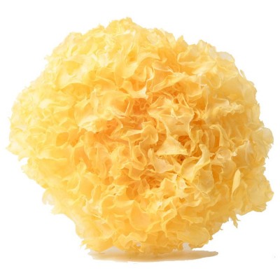 福建古田大花银耳雪耳12-16CM10斤装净重白木耳干货干货滋补品图5