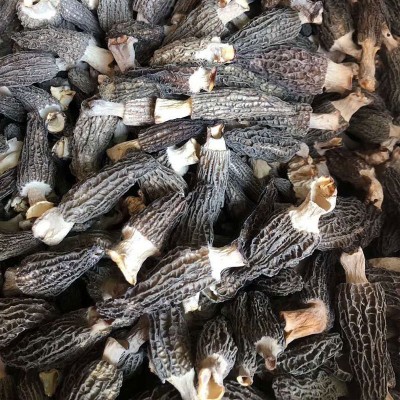 煲汤食用干货羊肚菌5-7cm 云南特产 源头产地 酒店餐饮走量批发图3