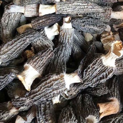 煲汤食用干货羊肚菌5-7cm 云南特产 源头产地 酒店餐饮走量批发图2