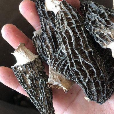 产地货源干货羊肚菌2-4cm 羊肚菇土特产酒店餐饮食用厂家批发图3