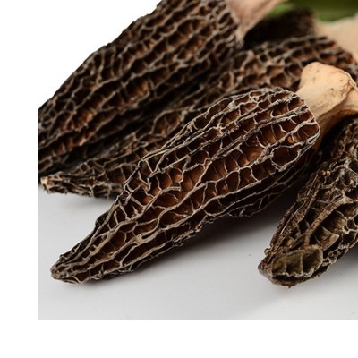 产地货源干货羊肚菌2-4cm 羊肚菇土特产酒店餐饮食用厂家批发图4