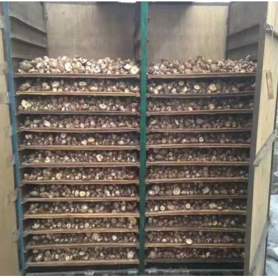 福建古田食用菌香菇干货冬菇光面菇干 产地新货香菇500g直供批发图2