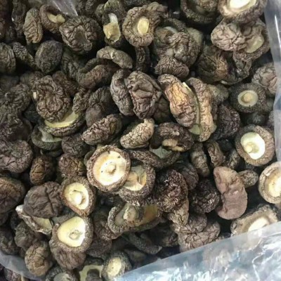 福建古田食用菌香菇干货冬菇光面菇干 产地新货香菇500g直供批发图4