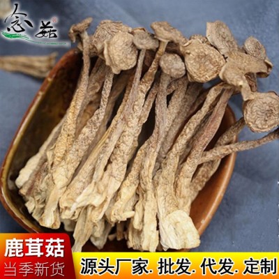 新货鹿茸菇500g 人工挑选无碎片菌肉细腻肥厚鹿茸菇 走量批发 新货鹿茸菇500g 人工挑选无碎片菌肉细腻肥厚鹿茸菇 走量批发