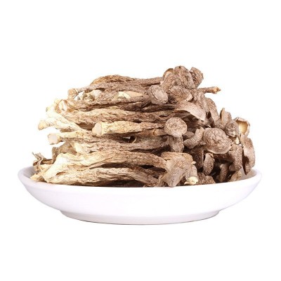 新货鹿茸菇500g 人工挑选无碎片菌肉细腻肥厚鹿茸菇 走量批发图5