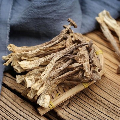 新货鹿茸菇500g 人工挑选无碎片菌肉细腻肥厚鹿茸菇 走量批发图2