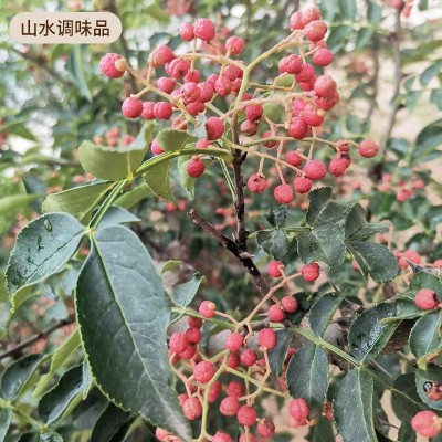 加工出口韩国日本美国泰国红麻椒黑鸭卤料卤味鸭货大红袍红花椒粒图2