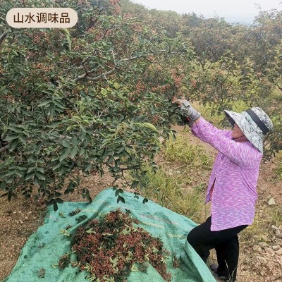 加工出口韩国日本美国泰国红麻椒黑鸭卤料卤味鸭货大红袍红花椒粒图3