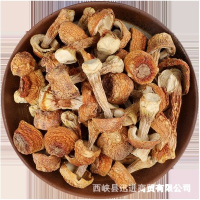 姬松茸干货松茸菌松茸菇蘑菇新鲜500g煲汤炖汤食材材料新货直发图3