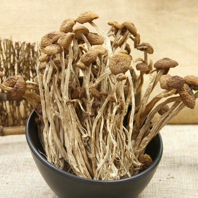 产地货源福建古田不开伞茶树菇干货500g新货食用菌蘑菇茶薪菇图2