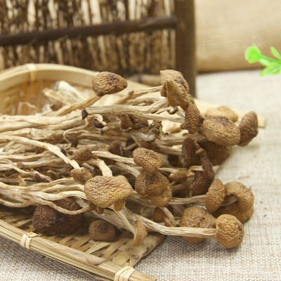 产地货源福建古田不开伞茶树菇干货500g新货食用菌蘑菇茶薪菇图3