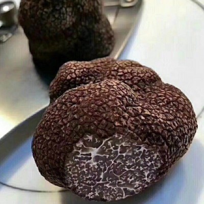 2018新鲜全熟黑松露猪拱菌菌月子孕妇食用菌干片规格齐全 2018新鲜全熟黑松露猪拱菌菌月子孕妇食用菌干片规格齐全