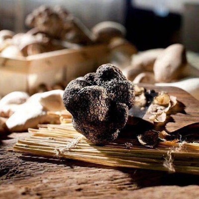 2018新鲜全熟黑松露猪拱菌菌月子孕妇食用菌干片规格齐全图2