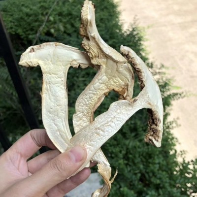 四川云南松茸干片规格齐全去皮带皮足干货月子孕妇食用菌淘宝货源 四川云南松茸干片规格齐全去皮带皮足干货月子孕妇食用菌淘宝货源