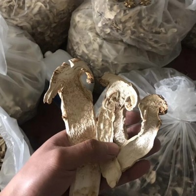 四川云南松茸干片规格齐全去皮带皮足干货月子孕妇食用菌淘宝货源图3