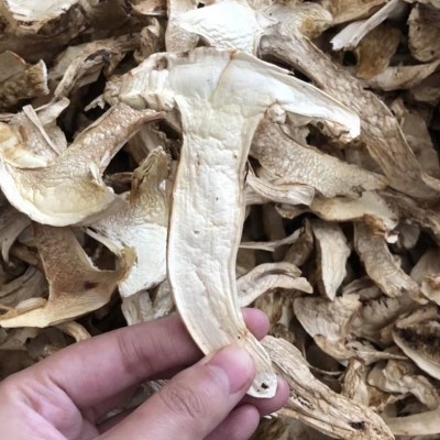 四川云南松茸干片规格齐全去皮带皮足干货月子孕妇食用菌淘宝货源图4