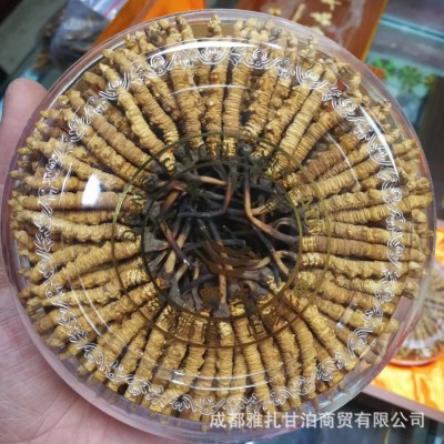 批发玉树那曲冬虫夏草规格齐足干青海虫草自刷西藏虫草可代发图4