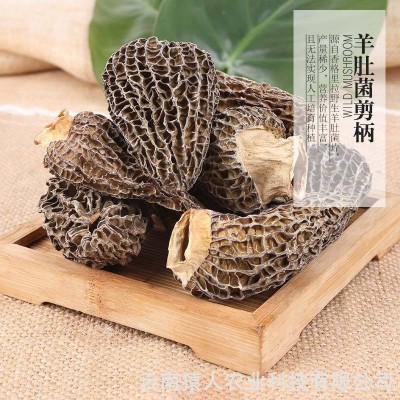 云南菌类干货 剪柄羊肚菌干货价格从优 食用菌批发(面议) 云南菌类干货 剪柄羊肚菌干货价格从优 食用菌批发(面议)