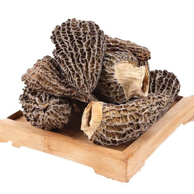 云南菌类干货 剪柄羊肚菌干货价格从优 食用菌批发（面议）图5