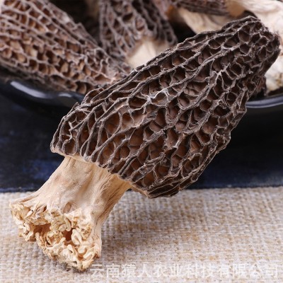 云南菌类干货 剪柄羊肚菌干货价格从优 食用菌批发（面议）图3