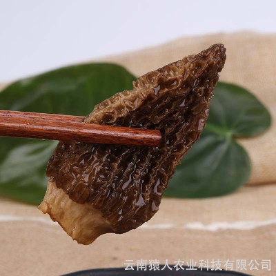 云南菌类干货 剪柄羊肚菌干货价格从优 食用菌批发（面议）图4
