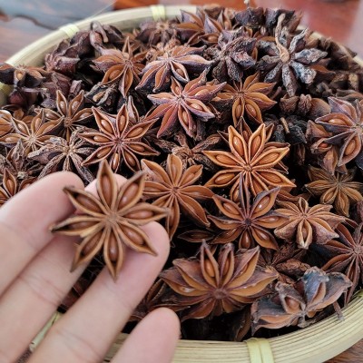 广西大红八角足干大料大茴香八角片八角把香辛料商用调味料批发图3